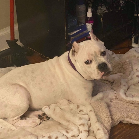 Meet your Posher, Holdon - Picture 1 of 1